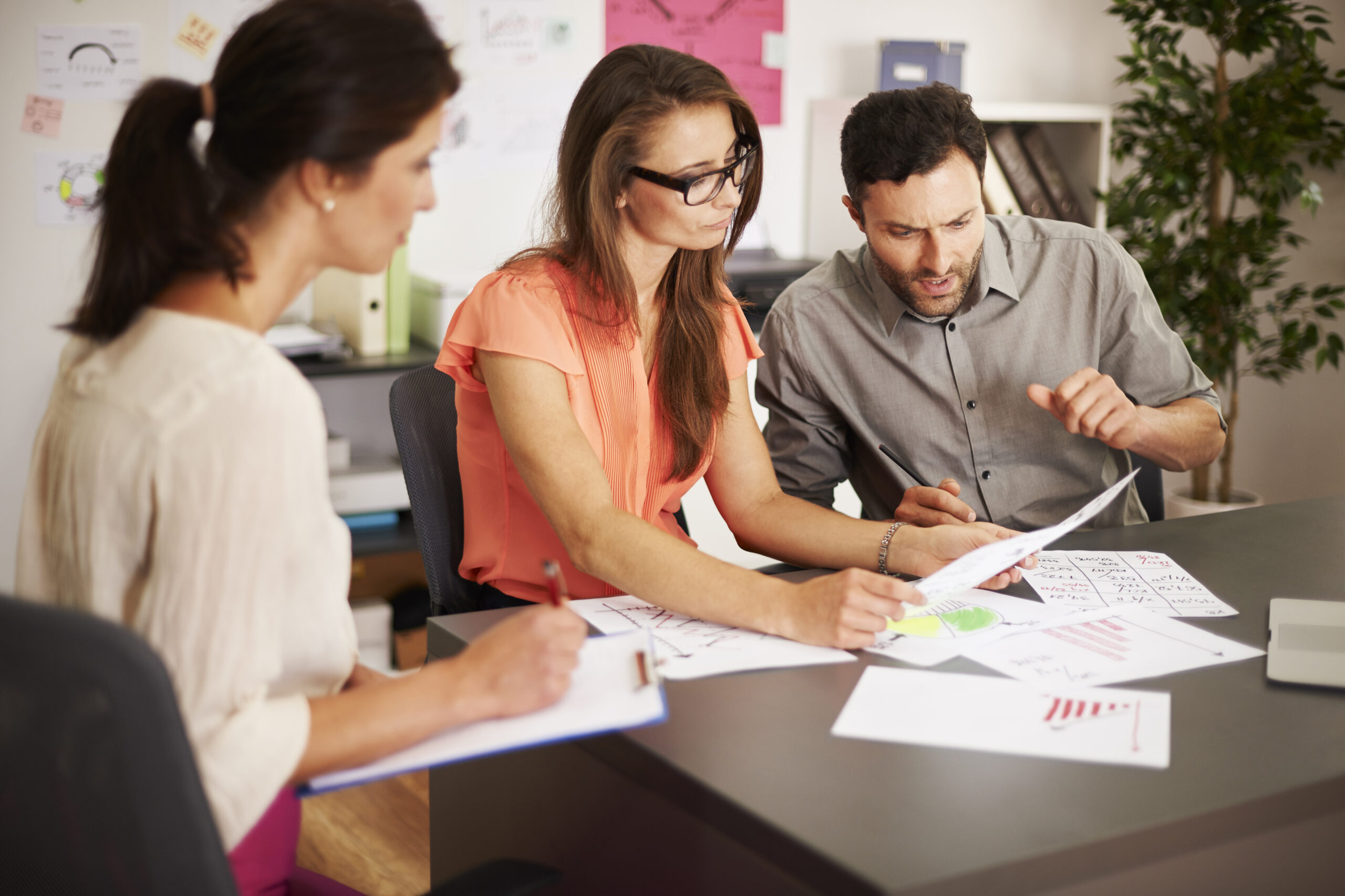 Equipo de trabajo en proyecto